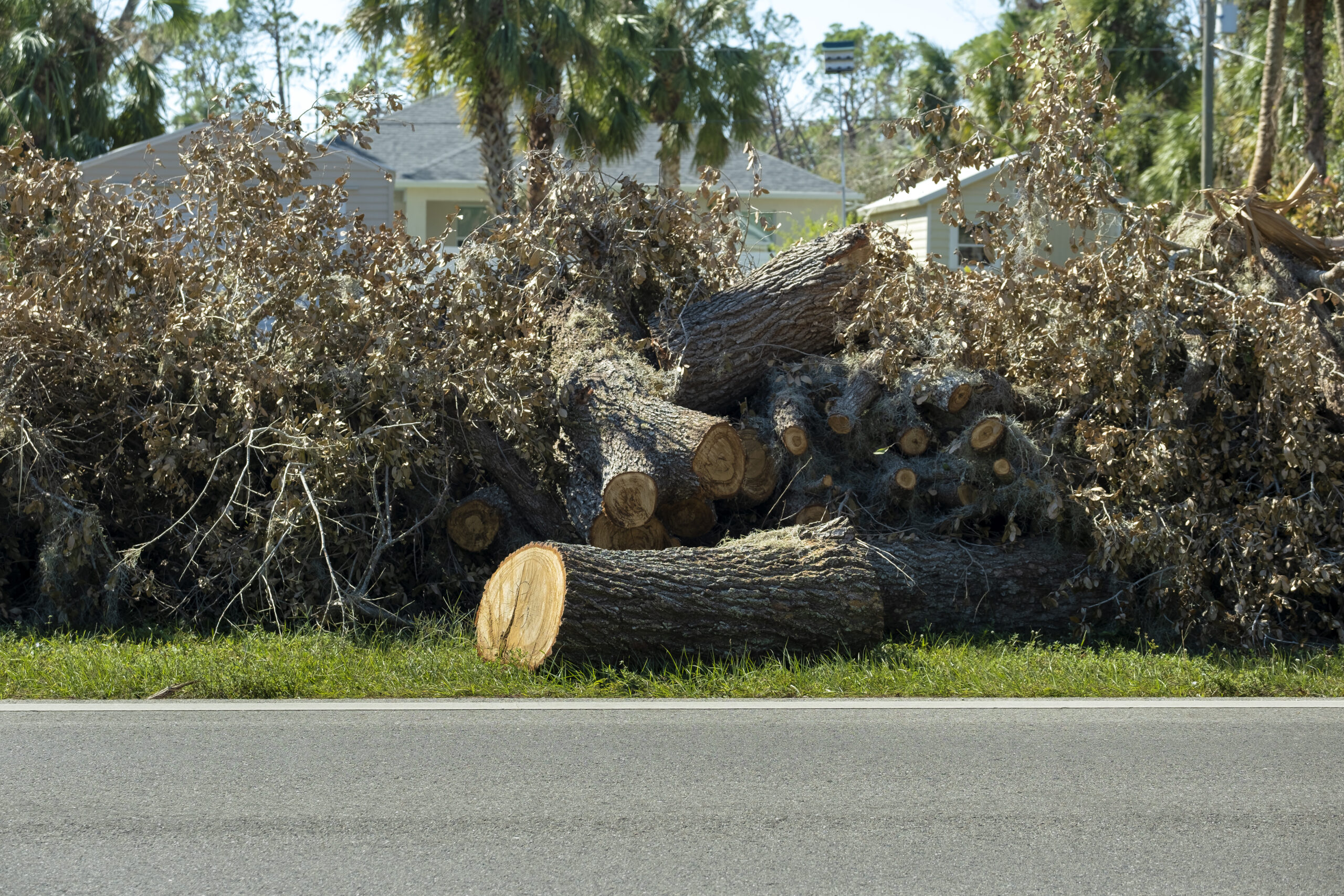 Cut down and fallen trees branches disposed in heaps on street side after hurricane severely damaged houses in Florida mobile home residential area. Consequences of natural disaster.